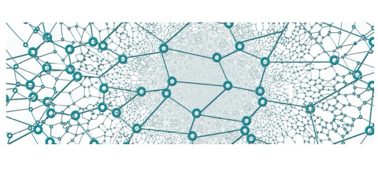 network picture, mostly for decoration