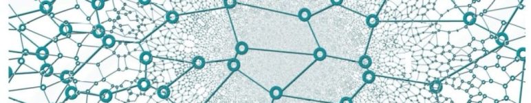 network image [decorative here\